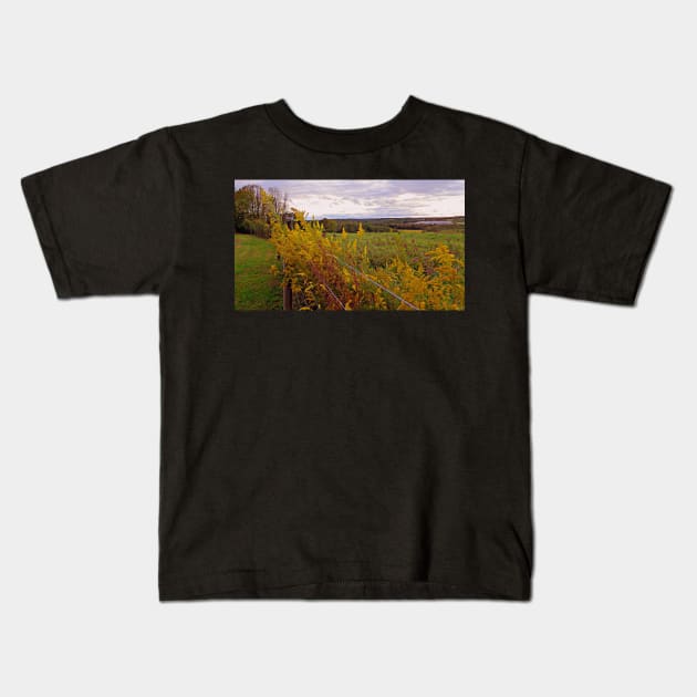 Fall Wildflowers Beautiful Autumn Season Peaceful Landscape Photograph Art Country Farmhouse Kids T-Shirt by tamdevo1